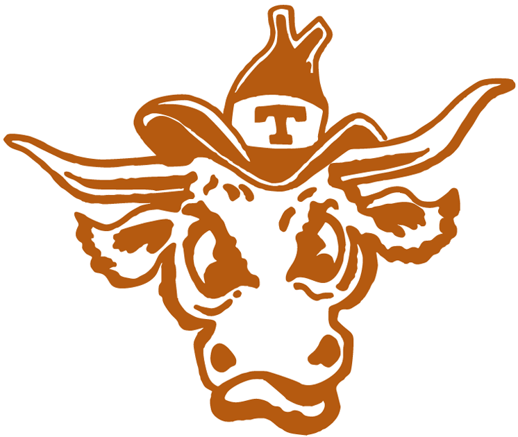 Texas Longhorns 1977-Pres Alternate Logo DIY iron on transfer (heat transfer)